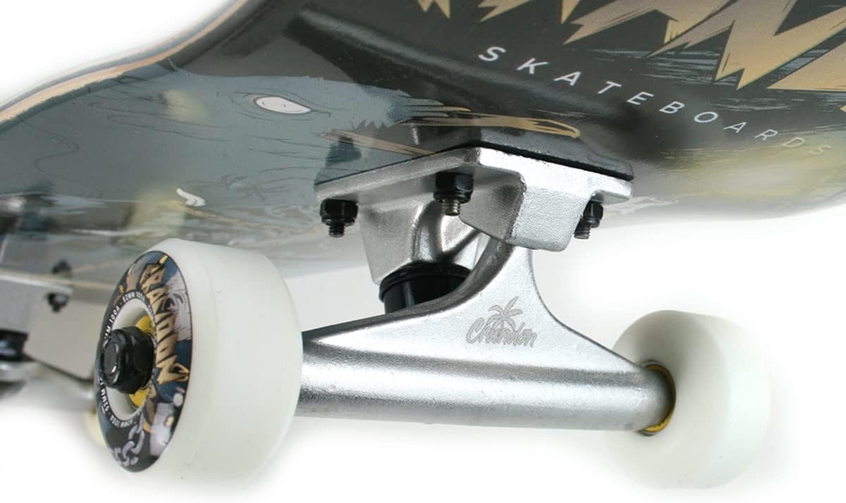 CRANDON : Pack de 2 Trucks 5/5,25 - Pour Débutants et Pros, Compatibles Tous Skateboards 5 CRANDON : Pack de 2 Trucks 5/5,25 - Pour Débutants et Pros, Compatibles Tous Skateboards – Image 5