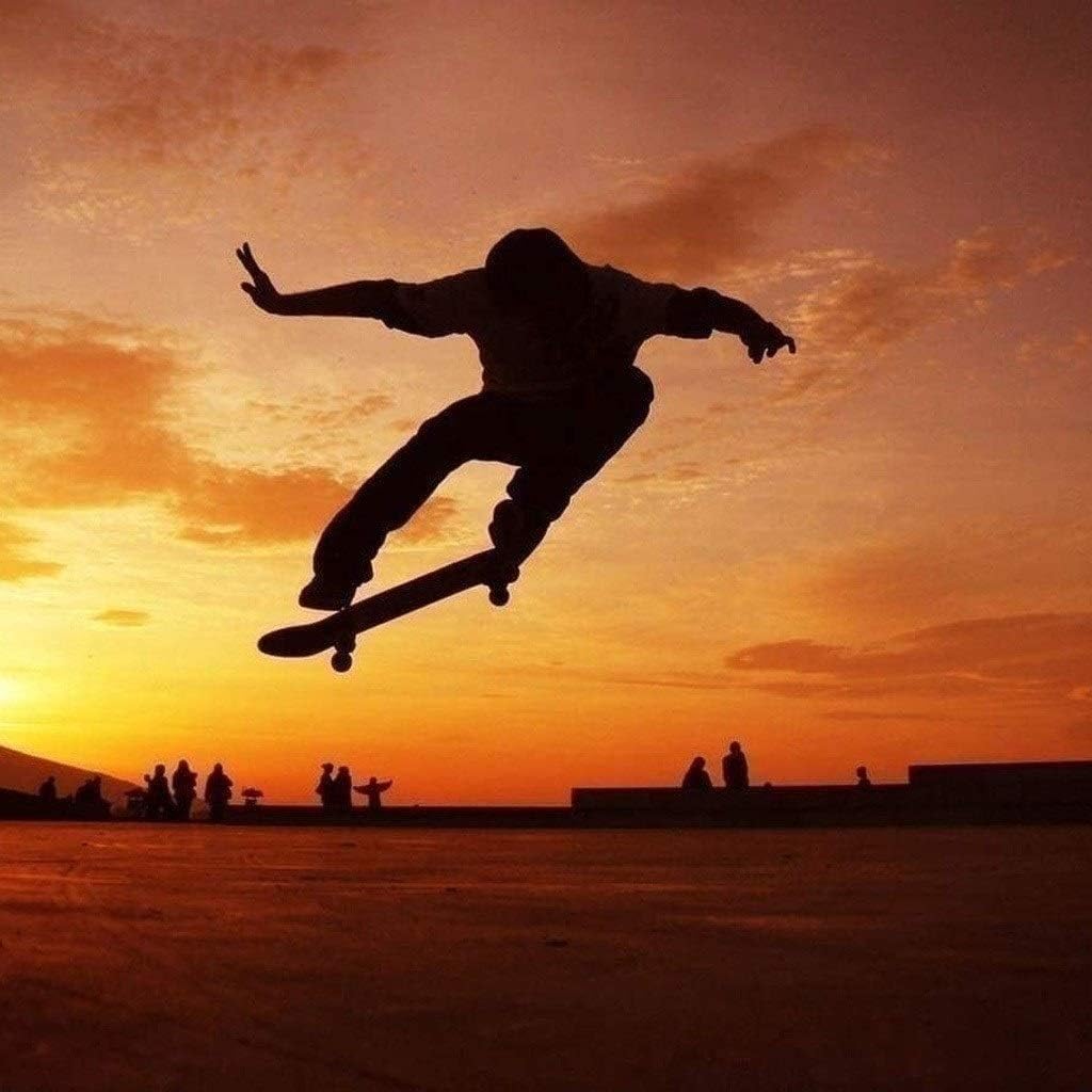 Trucks de Skateboard en Aluminium 12,7 cm pour Petit Fish Board - Set Complet Adulte Unisexe 4 Trucks de Skateboard en Aluminium 12,7 cm pour Petit Fish Board - Set Complet Adulte Unisexe – Image 4