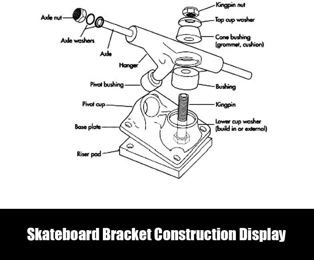 2Pcs Trucks Professionnels Alomejor pour Skateboard et Longboard, 4 Roues 6 2Pcs Trucks Professionnels Alomejor pour Skateboard et Longboard, 4 Roues – Image 6