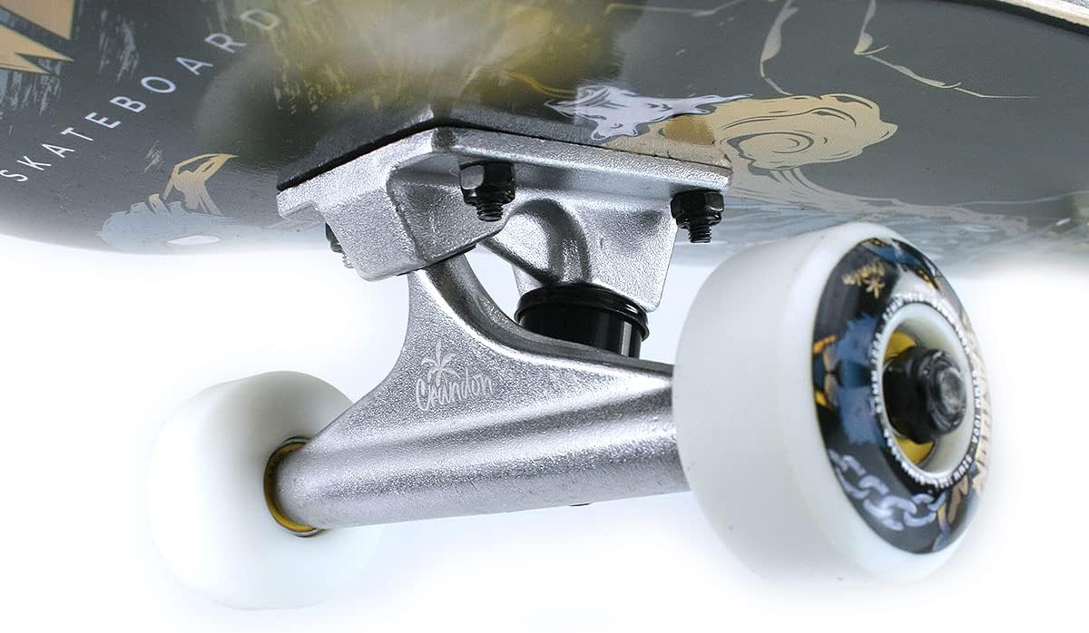 CRANDON : Pack de 2 Trucks 5/5,25 - Pour Débutants et Pros, Compatibles Tous Skateboards 4 CRANDON : Pack de 2 Trucks 5/5,25 - Pour Débutants et Pros, Compatibles Tous Skateboards – Image 4