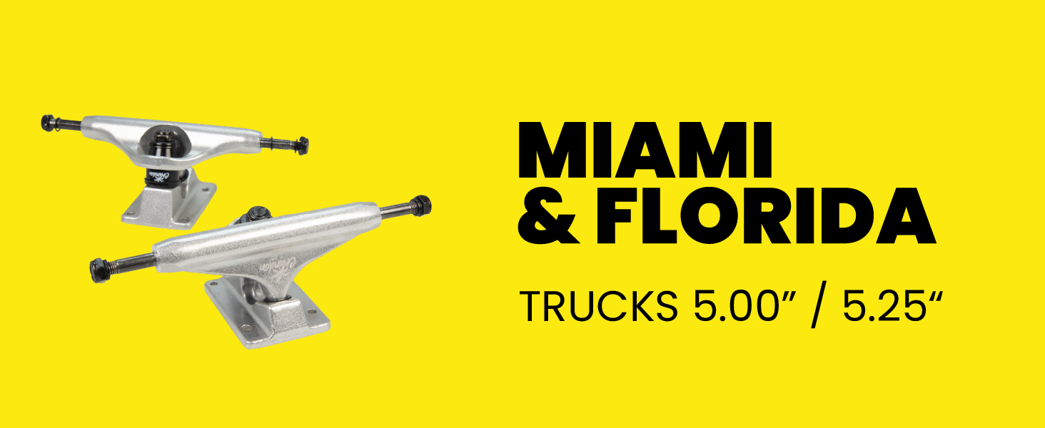 CRANDON : Pack de 2 Trucks 5/5,25 - Pour Débutants et Pros, Compatibles Tous Skateboards 10 TRUCKS